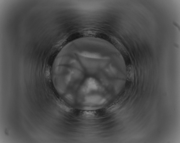 X0000091540573200709071107