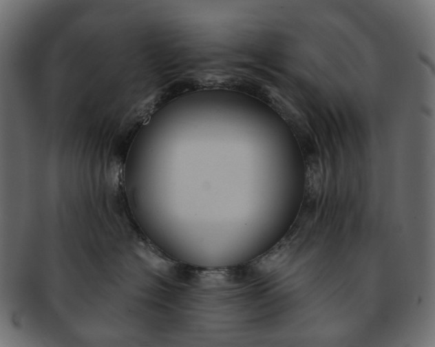 X0000091540574200709071107