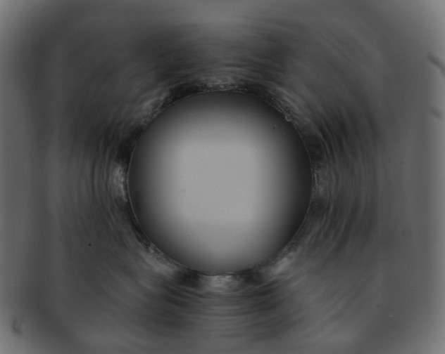 X0000091540575200709071107