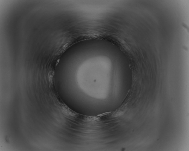 X0000091540576200709071107