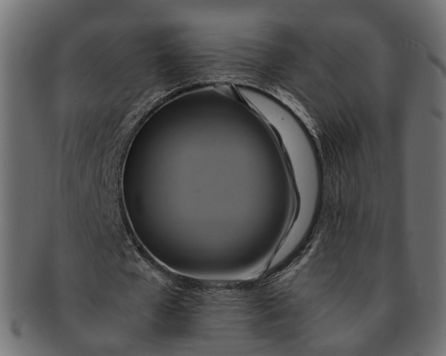 X0000091540577200709071106