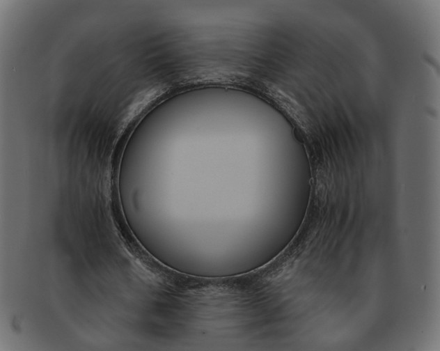 X0000091540578200709071106