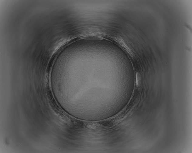 X0000091540579200709071106