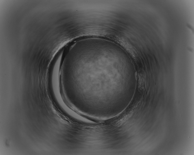 X0000091540580200709071106