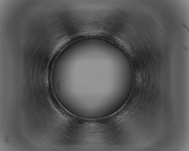 X0000091540582200709071106