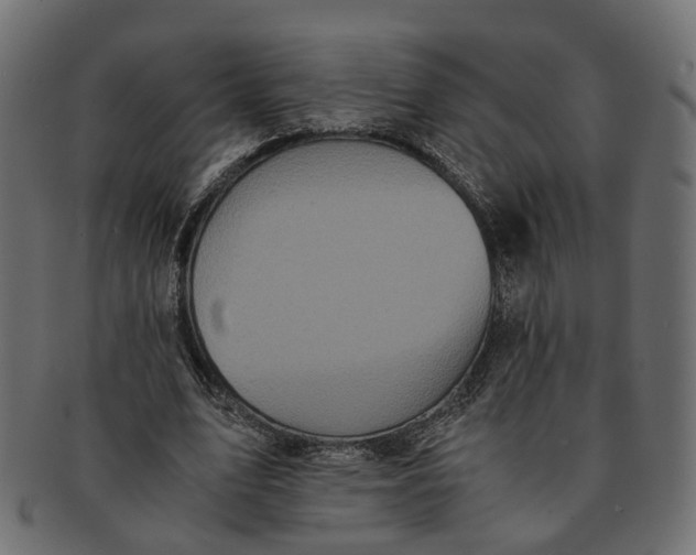 X0000091540583200709071106