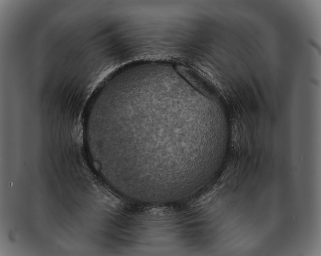 X0000091540584200709071106