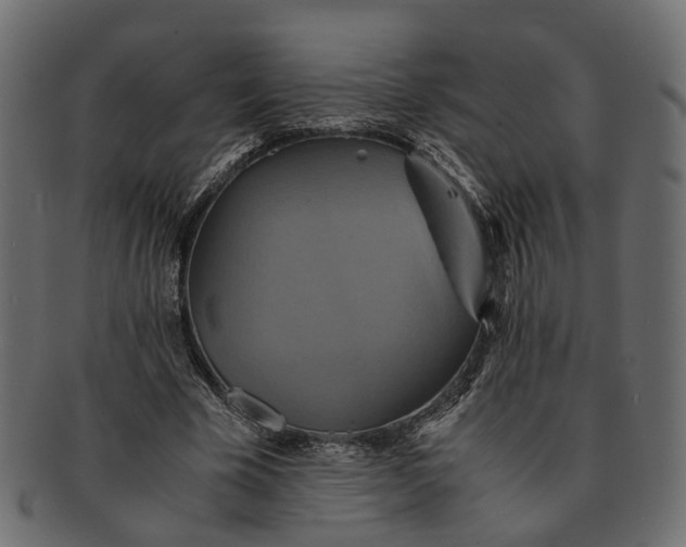 X0000091540585200709071106