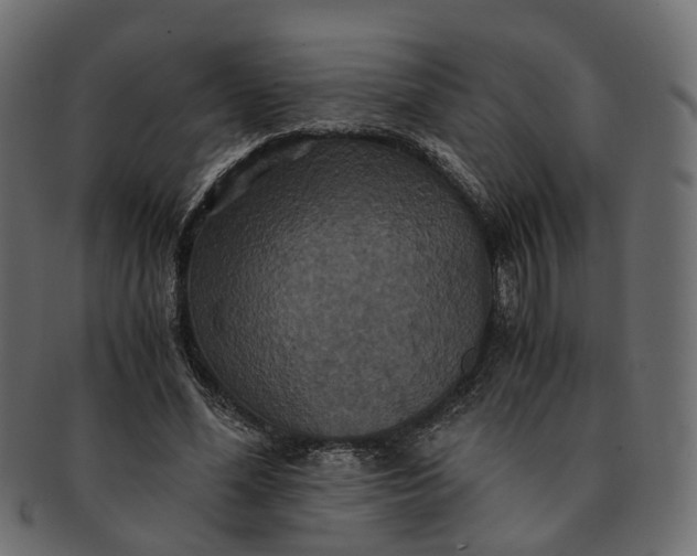 X0000091540588200709071106