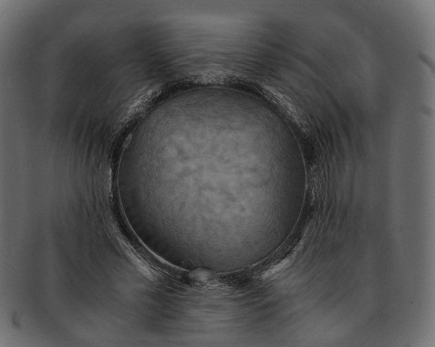 X0000091540589200709071106