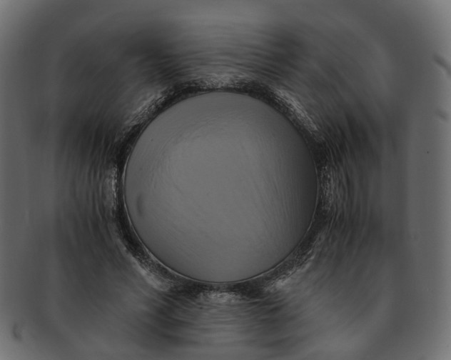 X0000091540590200709071106