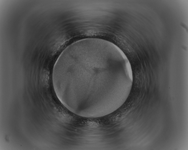 X0000091540592200709071106