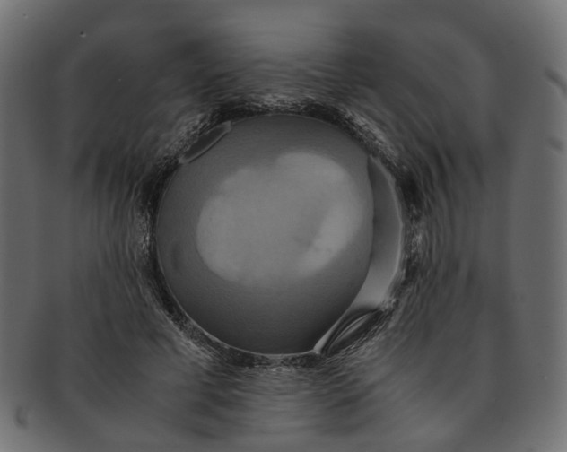 X0000091540593200709071106