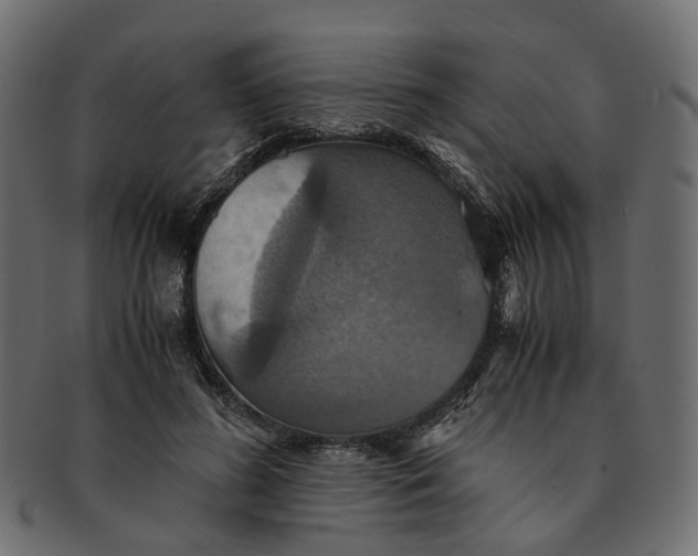 X0000091540596200709071106