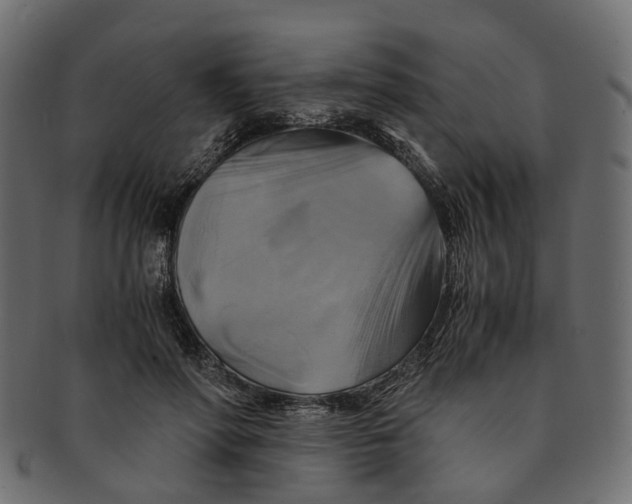 X0000091540598200709071106