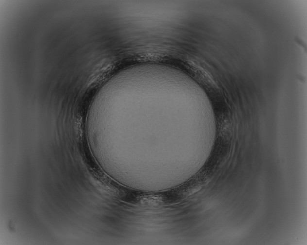 X0000091540599200709071106