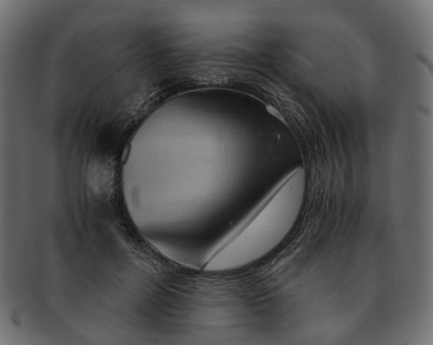 X0000091540600200709071106