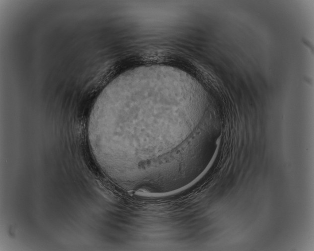 X0000091540601200709071106