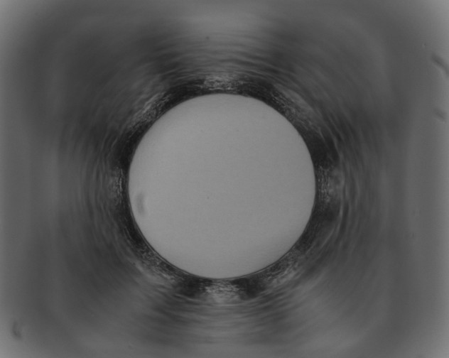 X0000091540603200709071106