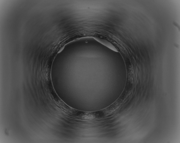 X0000091540604200709071106