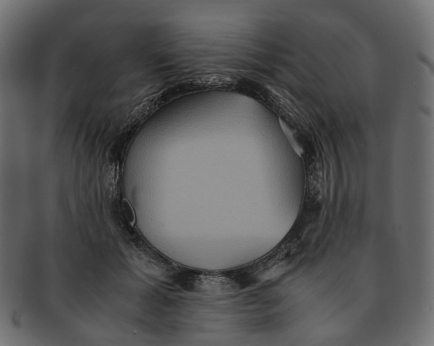 X0000091540605200709071106