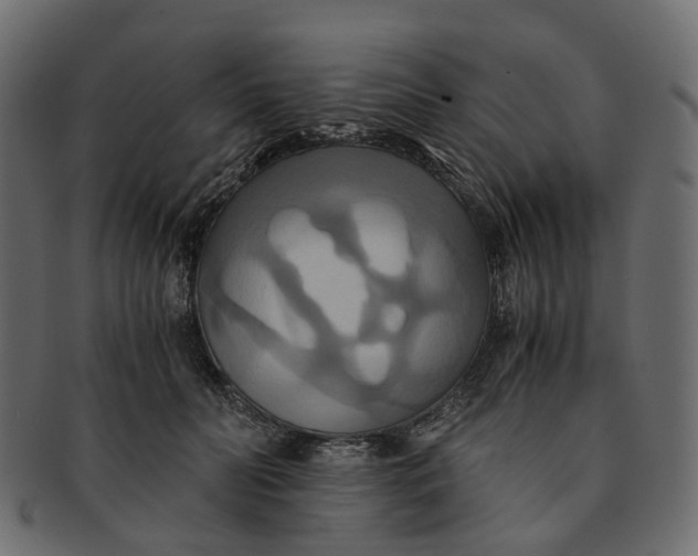 X0000091540606200709071106