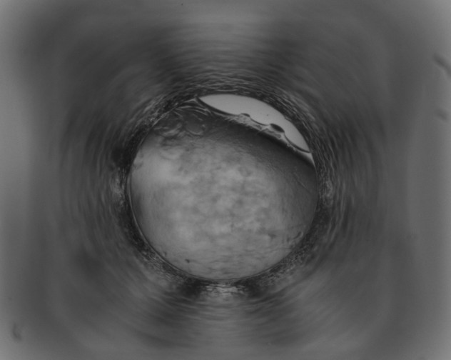 X0000091540607200709071106