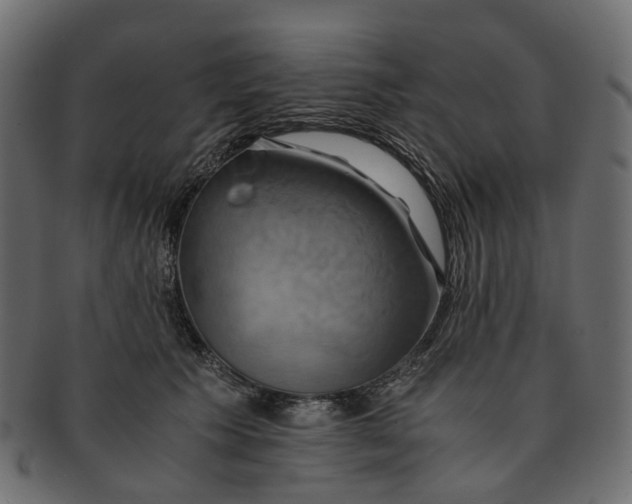 X0000091540609200709071106