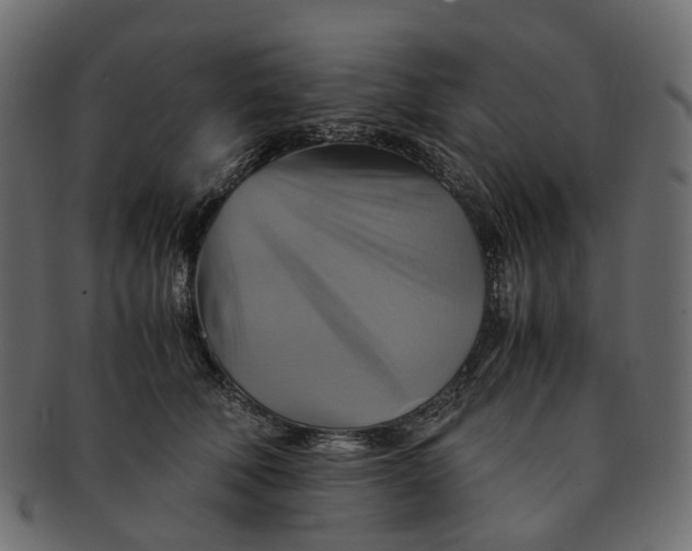 X0000091540610200709071106