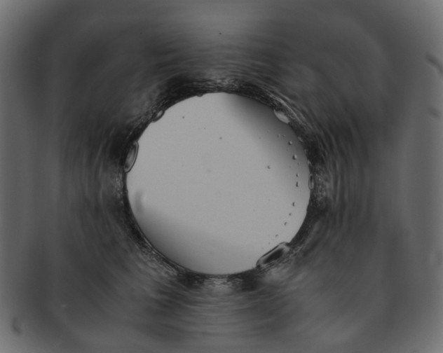 X0000091540613200709071106