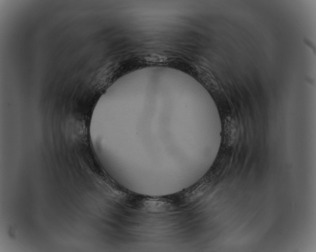 X0000091540614200709071106