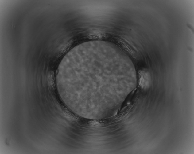 X0000091540616200709071106