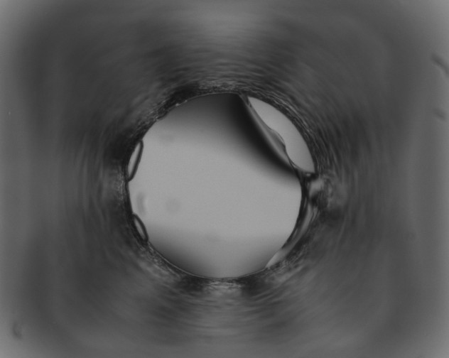 X0000091540617200709071106