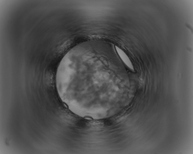 X0000091540619200709071105