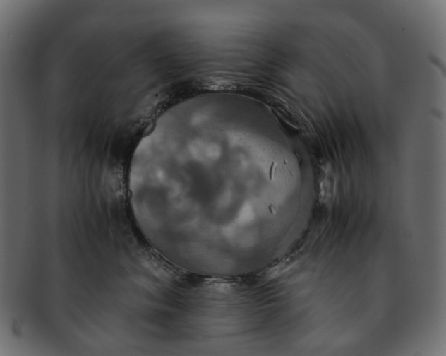 X0000091540620200709071105