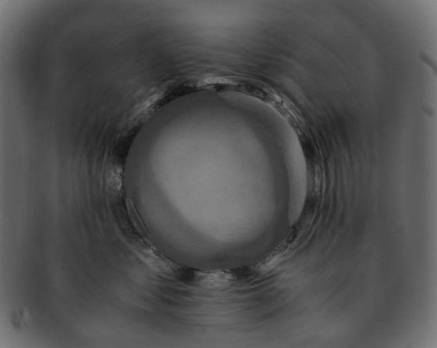 X0000091540621200709071105