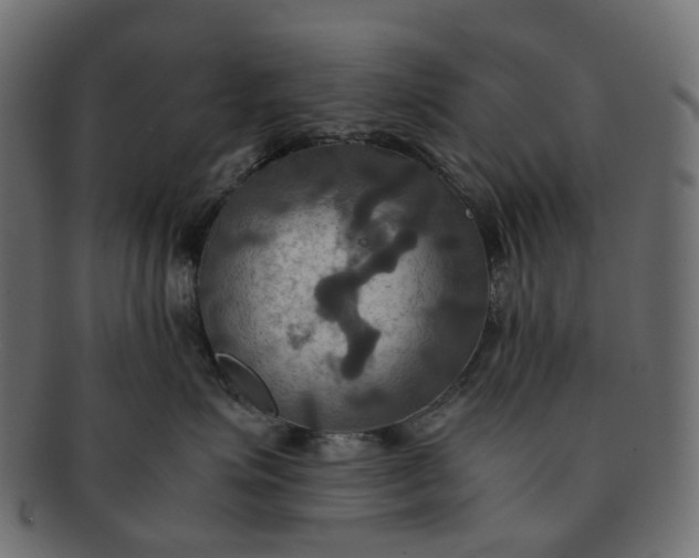 X0000091540623200709071105