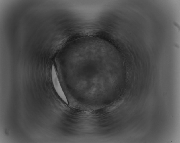 X0000091540624200709071105