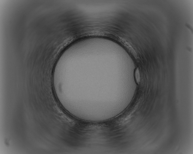 X0000091540625200709071105