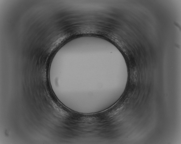 X0000091540629200709071105