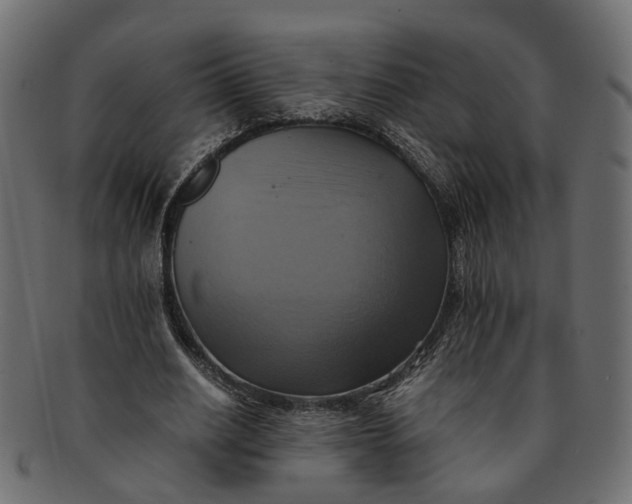 X0000091540630200709071105