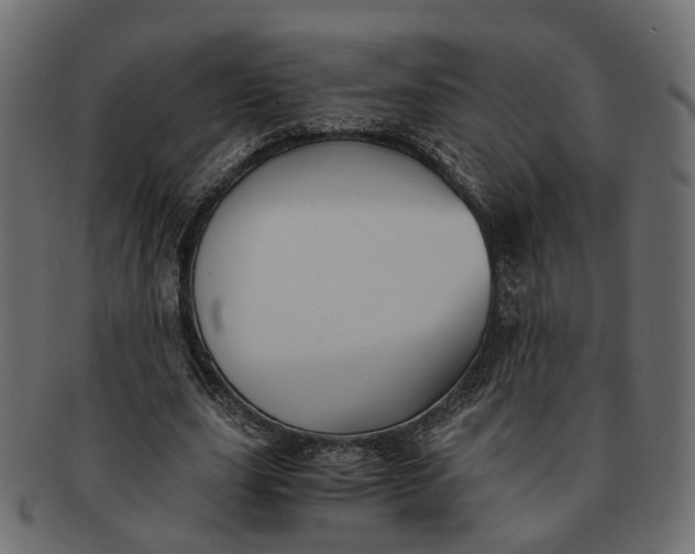 X0000091540631200709071105