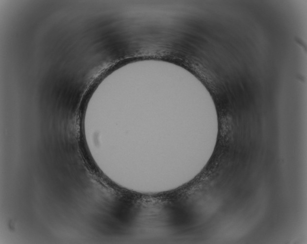 X0000091540632200709071105