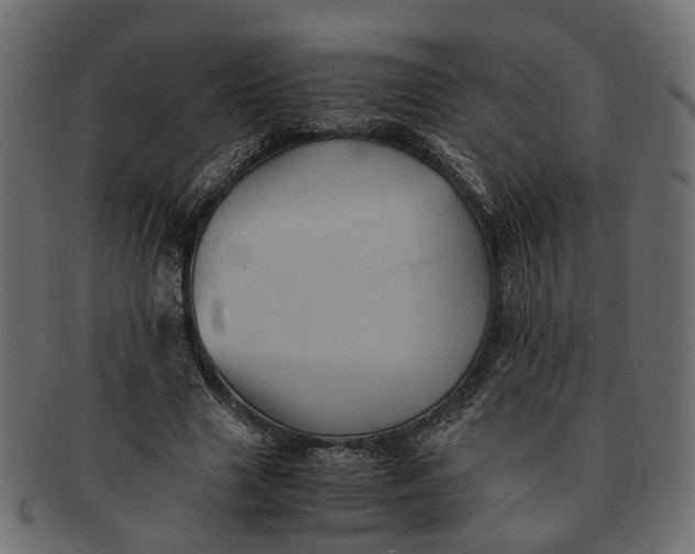 X0000091540633200709071105