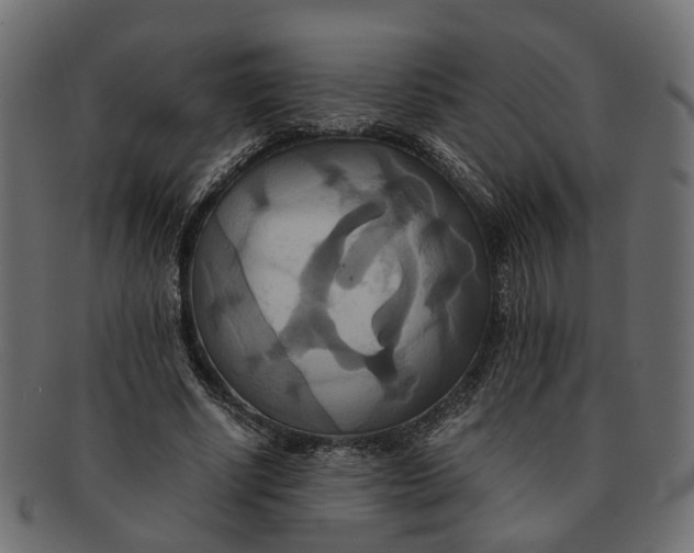 X0000091540634200709071105