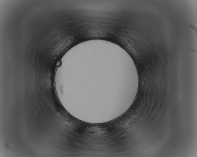 X0000091540635200709071105