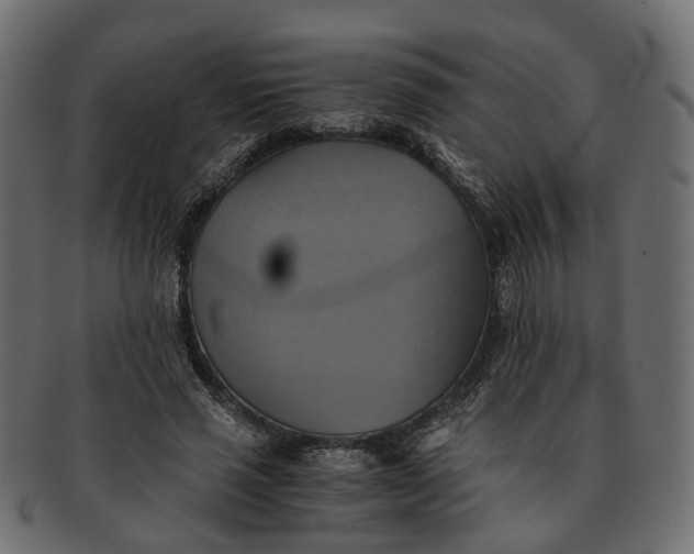 X0000091540637200709071105