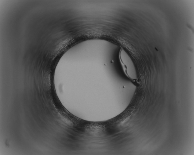 X0000091540638200709071105