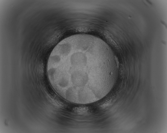 X0000091540639200709071105