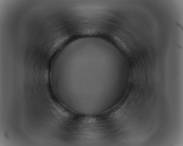 X0000091540640200709071105